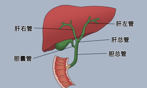 十味豆蔻丸对肾结石有效果吗-十味豆蔻丸主治什么网 - 网站提供十味豆蔻丸的功效与作用小常识、十味肉豆蔻的成分有哪些