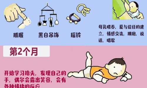 十味豆蔻丸对肾结石有效果吗-十味豆蔻丸主治什么网 - 网站提供十味豆蔻丸的功效与作用小常识、十味肉豆蔻的成分有哪些